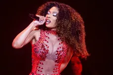 Syndication: The Commercial Appeal