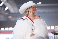 NFL: Baltimore Ravens at Houston Texans