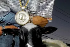 mike-dimes-lamb-talk