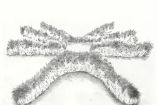 mavi-earl-sweatshirt-landgrab-stream