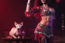 Belly,Dancer,Wearing,Lebanese,Attire,In,A,Hookah,Lounge,With