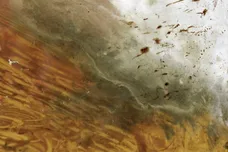 Klein rich dad poor dad Stream