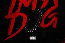 Screenshot 2025-11-13 at 10.33.39 PM