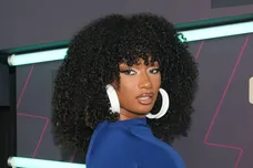 Megan Thee Stallion Therapy Deepfake Hip Hop News