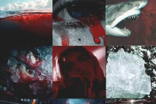 Blood In The Water 2