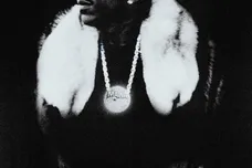 Public Domain 7_ The Purge