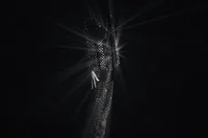 diamonds-are-forever