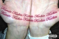 KARATE KICKIN Dom Corleo