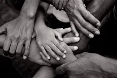 petal rock black WILLOW