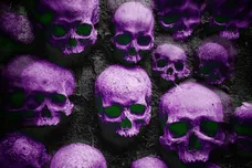 Screenshot 2026-03-12 at 9.23.28 PM