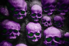 Screenshot 2026-03-26 at 9.24.27 PM