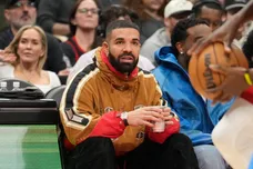 What Is Drake Project Bot