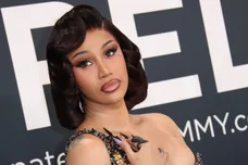 Cardi B Credit Card Thieves