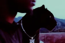 Yan Yan