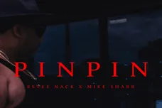 pinpin