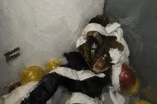 Décolissé