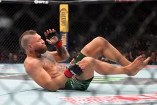 MMA: UFC 329