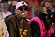 Chris Brown Block Dog Attack Victim Collecting Usher Tour Money