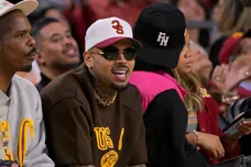Chris Brown Dog Attack Victim Allowed Collect Usher Tour Profits