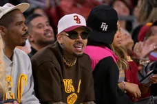 Chris Brown Wants New Trial Losing Dog Attack Case