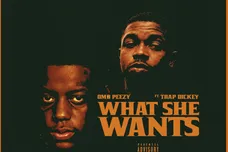 OMB Peezy - _What She Wants_ Single Artwork