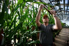 Brent Stirton/Getty Images