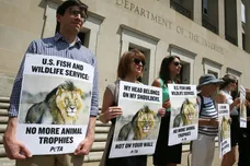 Mark Wilson/Getty Images