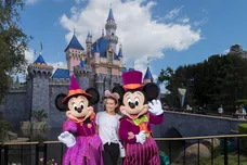 Handout / Getty Images