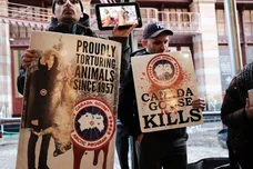 Spencer Platt/Getty Images