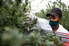 Luke Dray/Getty Images