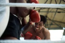 Allsport UK/ALLSPORT