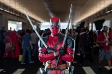 Roy Rochlin/Getty Images