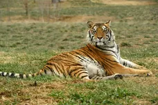 Helen H. Richardson/MediaNews Group/The Denver Post via Getty Images