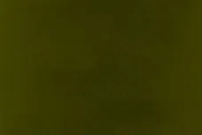 Via Top Dawg Entertainment