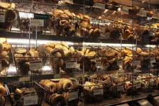 Spencer Platt/Getty Images