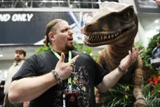 Daniel Zuchnik/gettyimages