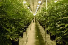 Ethan Miller/Getty Images