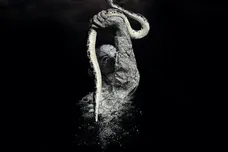 2020 Landmark Entertainment