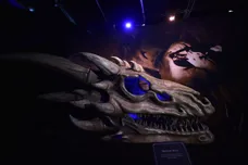 Charles McQuillan/Getty Images