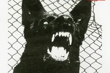 Jasiah/Rico Nasty/Denzel Curry