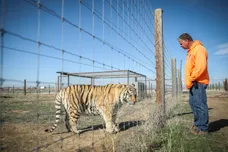 Marc Piscotty/Getty Images