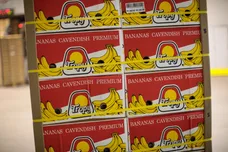 Jack Taylor/Getty Images