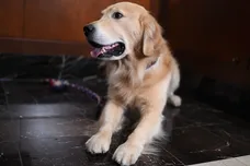 Jamie McCarthy/Getty Images