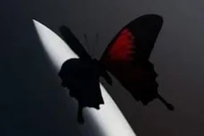 Post Malone - Twelve Carat Toothache (Deluxe)