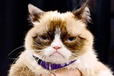 Jerod Harris/Getty Images