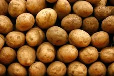 Chip Somodevilla/Getty Images