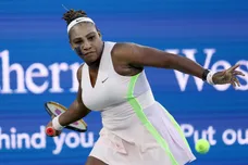 Photo by Matthew Stockman/Getty Images