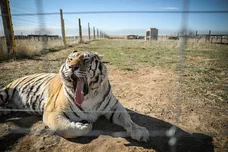 Marc Piscotty/Getty Images