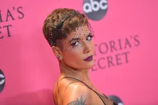 Roy Rochlin / Stringer