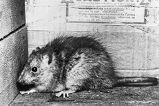 Denis De Marney/Getty Images